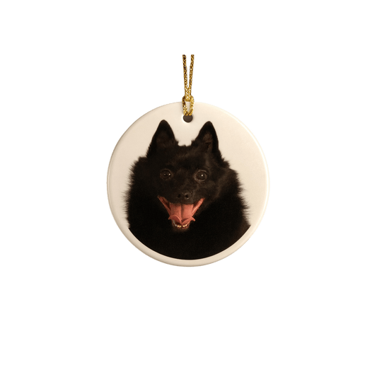 Custom Printed Dog Ornament — Personalized, Funny, and Sassy Keepsake - Music City Acrylics