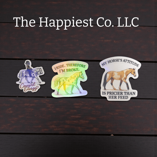 Mystery Sticker Pack – 6 Random Vinyl Stickers - Music City Acrylics