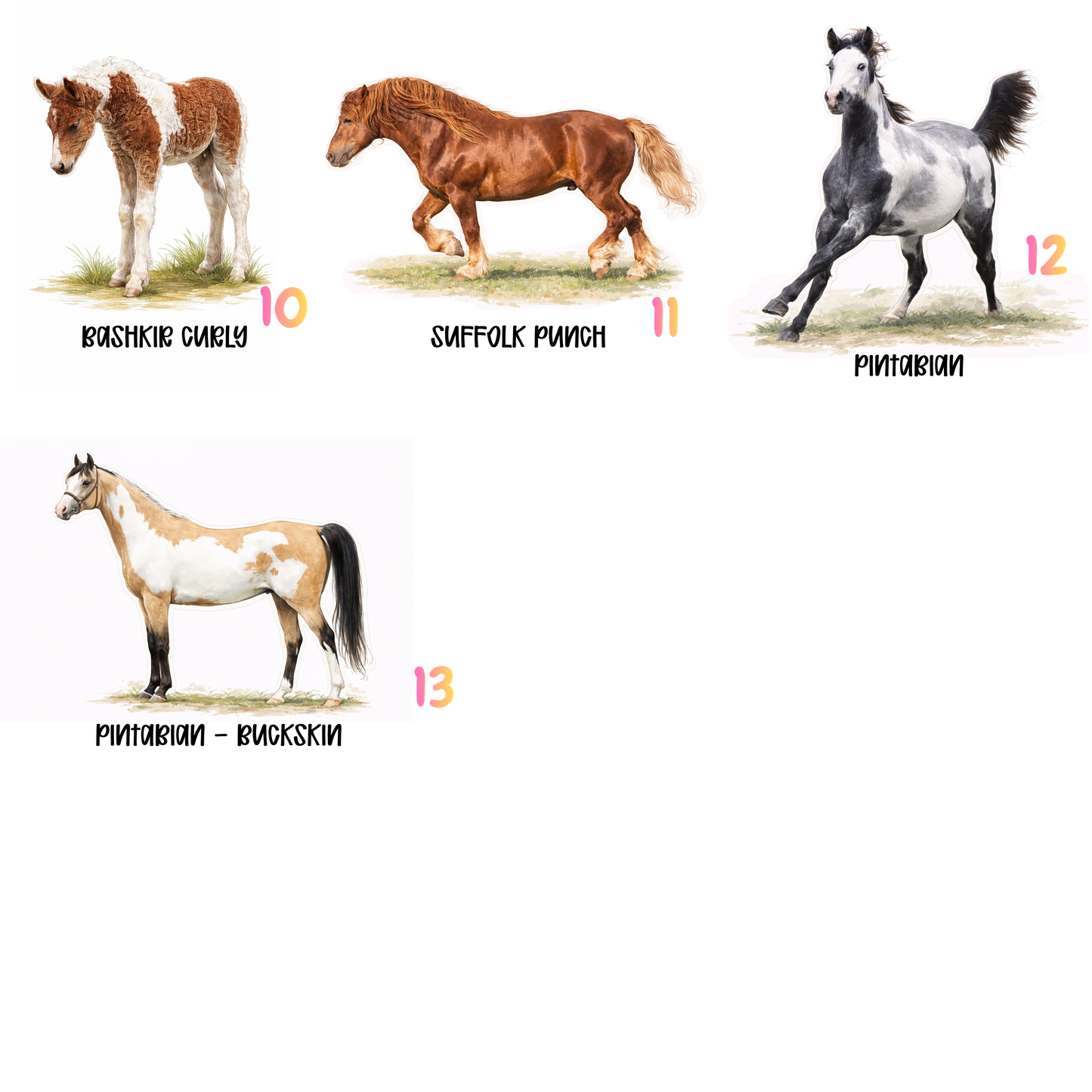 Rare Horse Breeds Sticker Collection – 9 Hard‑to‑Find Favorites