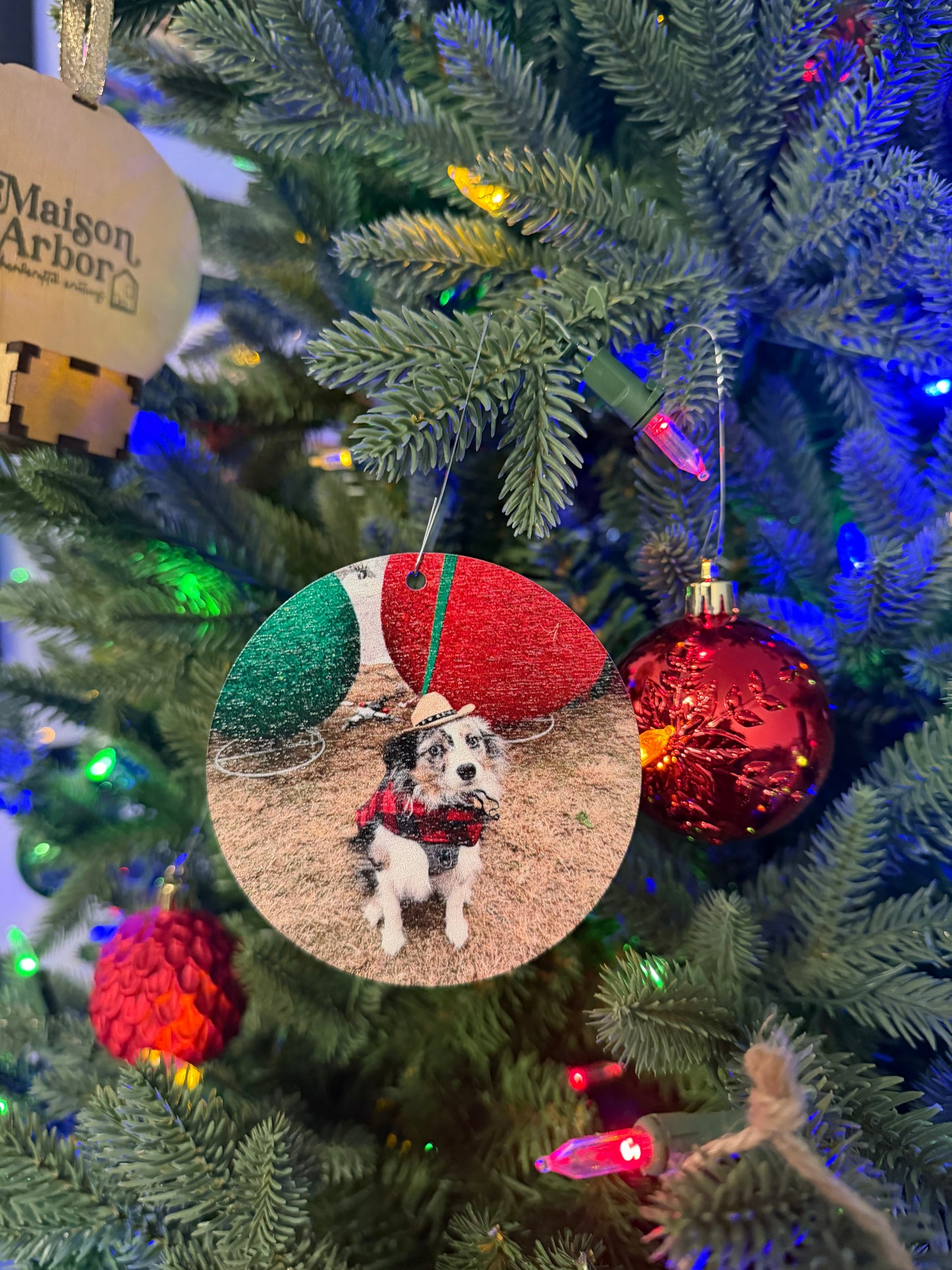 Custom Printed Dog Ornament — Personalized, Funny, and Sassy Keepsake
