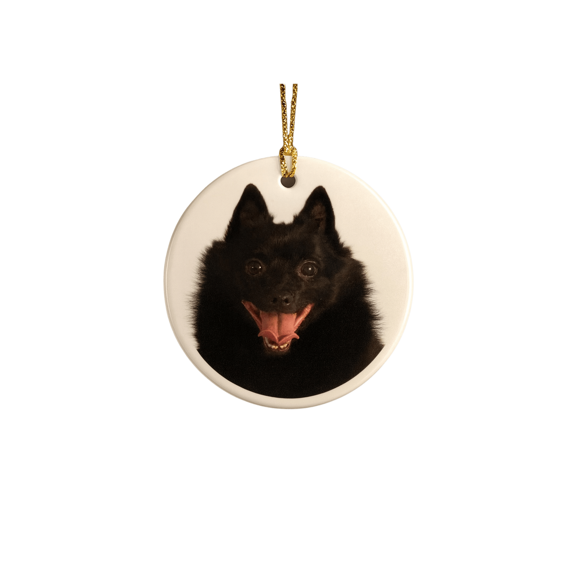 Custom Printed Dog Ornament — Personalized, Funny, and Sassy Keepsake - Music City Acrylics