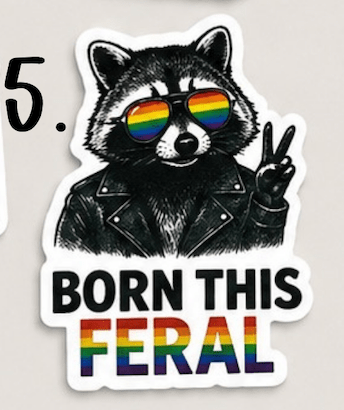 Pride Raccoon Sticker Pack – Funny LGBTQ+ Vinyl Stickers | Waterproof Decals | Queer Humor Stickers | Laptop, Water Bottle, Tumbler Stickers - Music City Acrylics