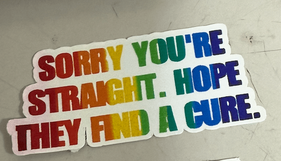 Pride Raccoon Sticker Pack – Funny LGBTQ+ Vinyl Stickers | Waterproof Decals | Queer Humor Stickers | Laptop, Water Bottle, Tumbler Stickers - Music City Acrylics
