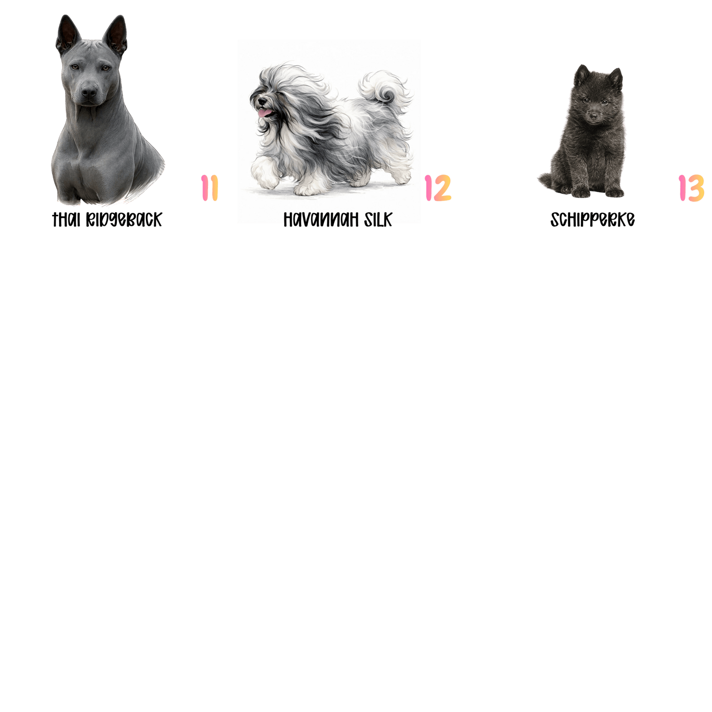 Rare Dog Sticker Collection – 13 Unique Breeds You Hardly Ever See - Music City Acrylics