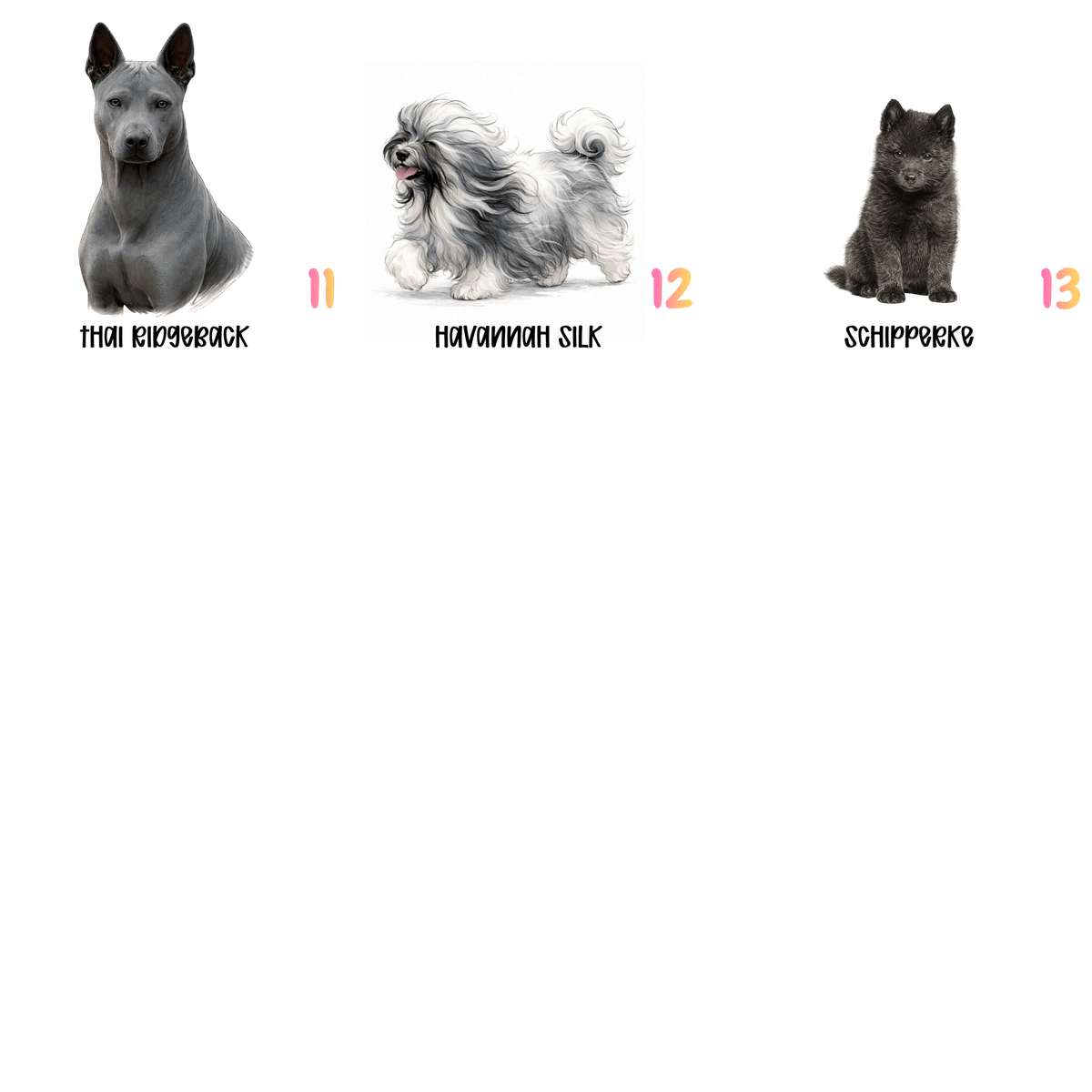 Rare Dog Sticker Collection – 13 Unique Breeds You Hardly Ever See - Music City Acrylics