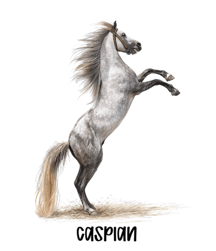 Rare Horse Breeds Sticker Collection – 9 Hard‑to‑Find Favorites - Music City Acrylics