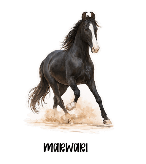 Rare Horse Breeds Sticker Collection – 9 Hard‑to‑Find Favorites - Music City Acrylics