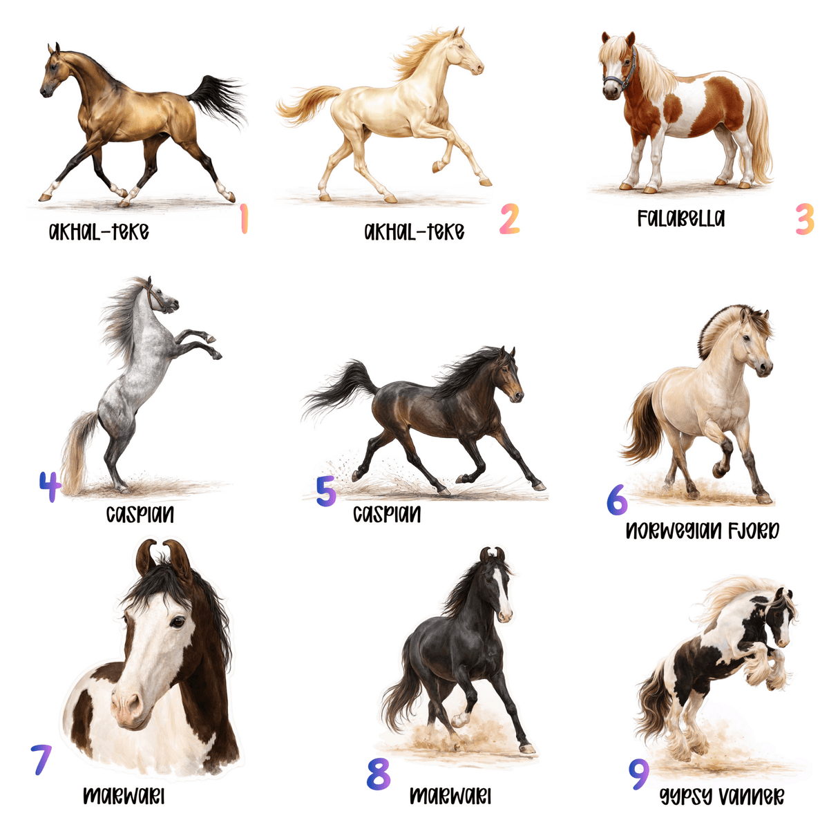 Rare Horse Breeds Sticker Collection – 9 Hard‑to‑Find Favorites - Music City Acrylics